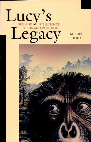 Lucy’s Legacy: Sex and Intelligence in Human Evolution cover