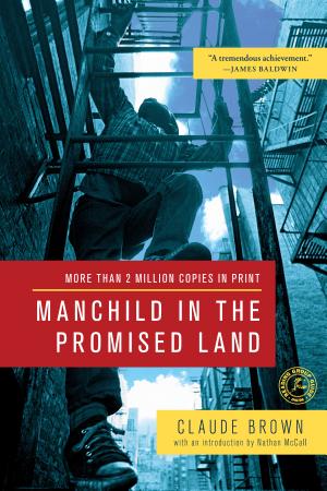 Manchild in the Promised Land cover