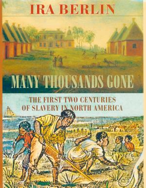 Many Thousands Gone: The First Two Centuries of Slavery in North America cover