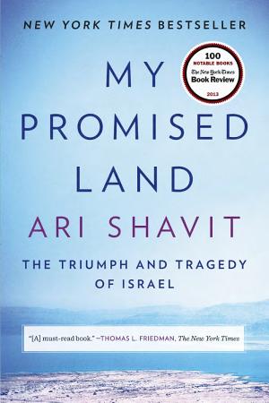 My Promised Land: The Triumph and Tragedy of Israel cover