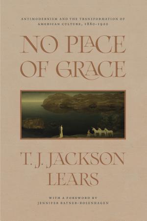 No Place of Grace: Antimodernism and the Transformation of American Culture, 1880-1920 cover