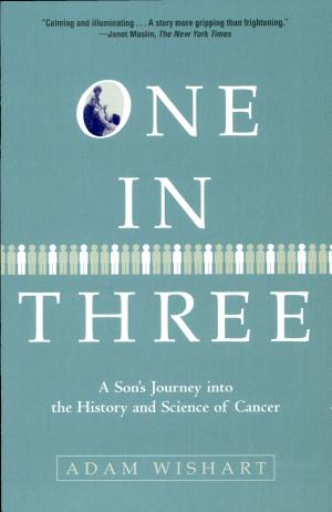One in Three cover