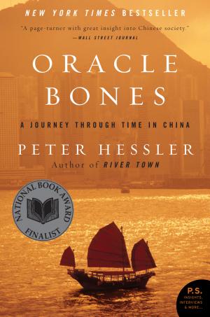 Oracle Bones: A Journey Between China's Past and Present cover