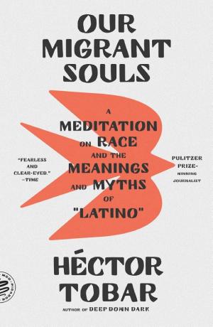 Our Migrant Souls: A Meditation on the Meanings and Myths of "Latino" cover