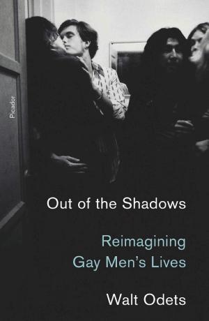 Out of the Shadows: Reimagining Gay Men's Lives cover