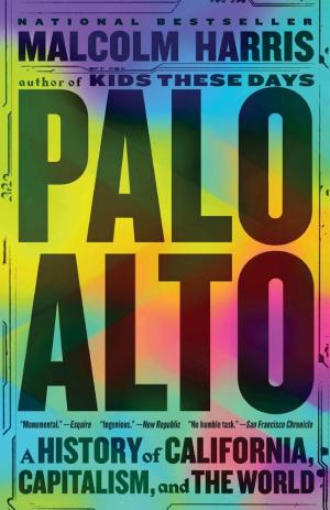 Palo Alto: A History of California, Capitalism, and the World cover