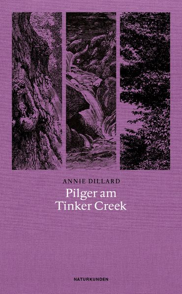 Pilger am Tinker Creek cover