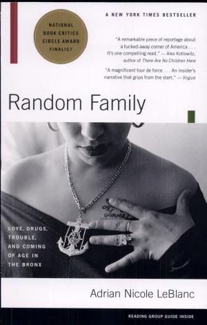 Random Family: Love, Drugs, Trouble, and Coming of Age in the Bronx cover