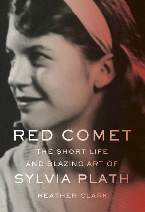 Red Comet: The Short Life and Blazing Art of Sylvia Plath cover
