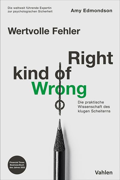 Wertvolle Fehler - Right Kind of Wrong cover