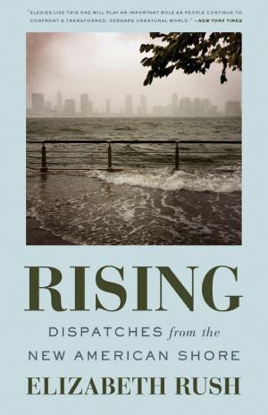 Rising: Dispatches from the New American Shore cover