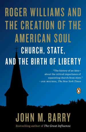 Roger Williams and the Creation of the American Soul: Church, State, and the Birth of Liberty cover