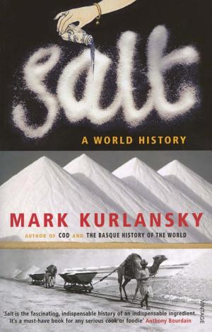 Salt: A World History cover