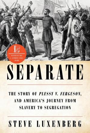Separate: The Story of Plessy v. Ferguson, and America's Journey from Slavery to Segregation cover