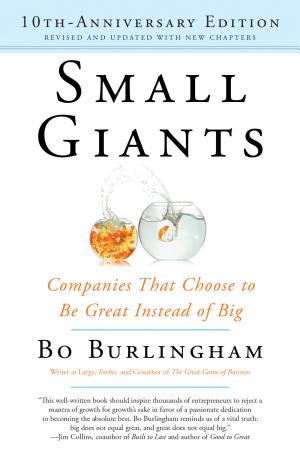 Small Giants: Companies that Choose to Be Great Instead of Big cover