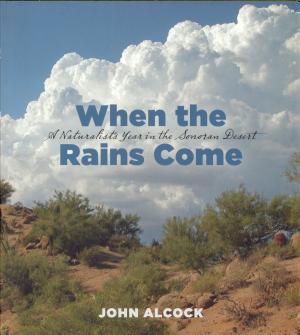 Sonoran Desert Summer cover