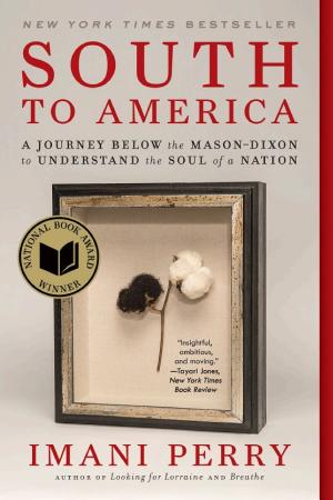 South to America: A Journey Below the Mason-Dixon To Understand the Soul of a Nation cover