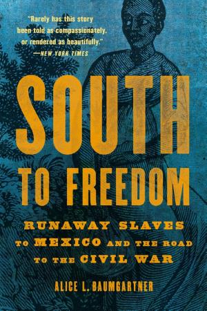 South to Freedom: Runaway Slaves to Mexico and the Road to the Civil War cover