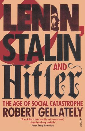 Stalin in Power: The Revolution from Above, 1928-1941 cover