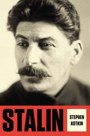 Stalin: Paradoxes of Power, 1878–1928 cover