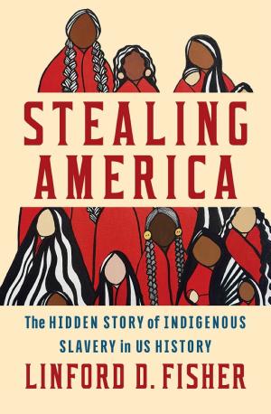 Stealing America: The Hidden Story of Indigenous Slavery in U.S. History cover