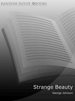Strange Beauty cover