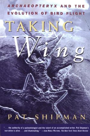 Taking Wing: Archaeopteryx and the Evolution of Bird Flight cover