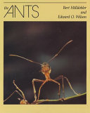 The Ants cover