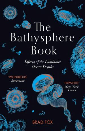 The Bathysphere Book: Effects of the Luminous Ocean Depths cover