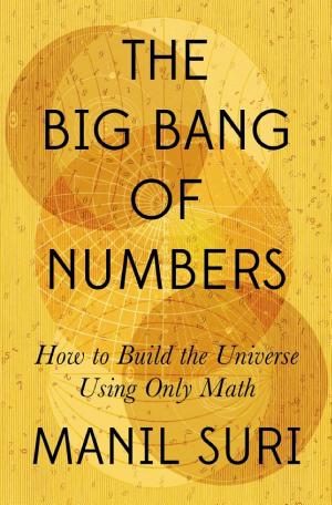The Big Bang of Numbers: How to Build the Universe Using Only Math cover