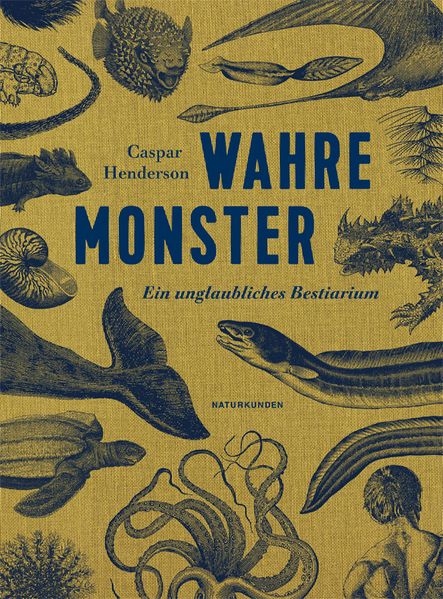 Wahre Monster cover