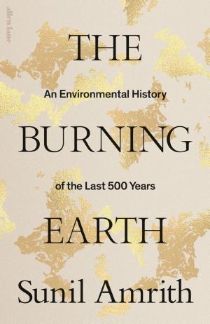 The Burning Earth: A History cover