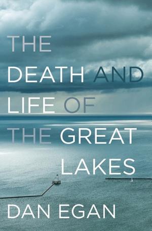 The Death and Life of the Great Lakes cover