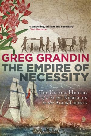 The Empire of Necessity: Slavery, Freedom, and Deception in the New World cover