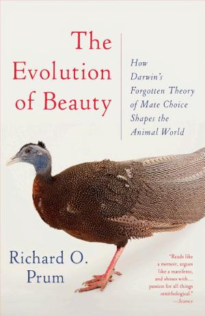 The Evolution of Beauty: How Darwin's Forgotten Theory of Mate Choice Shapes the Animal World—and Us cover