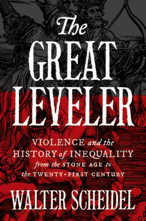 The Great Leveler: Violence and the History of Inequality from the Stone Age to the Twenty-First Century cover