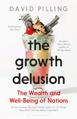 The Growth Delusion: The Wealth and Well-Being of Nations cover