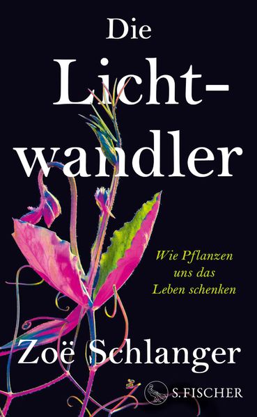 Die Lichtwandler cover