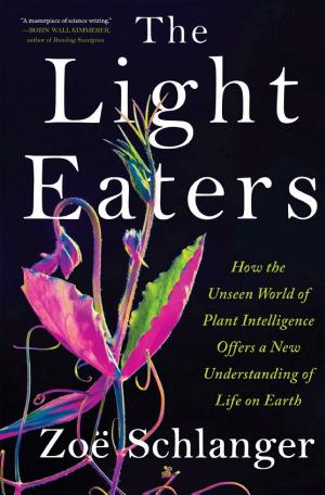 The Light Eaters: How the Unseen World of Plant Intelligence Offers a New Understanding of Life on Earth cover