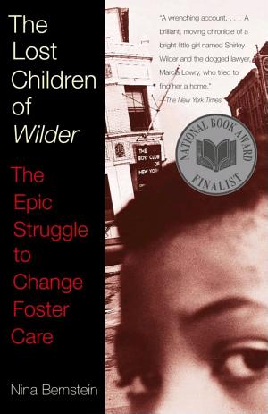 The Lost Children of Wilder: The Epic Struggle to Change Foster Care cover