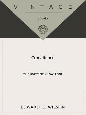 The Meaning of Human Existence cover