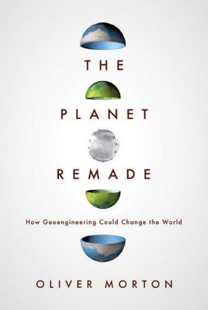 The Planet Remade: How Geoengineering Could Change the World cover