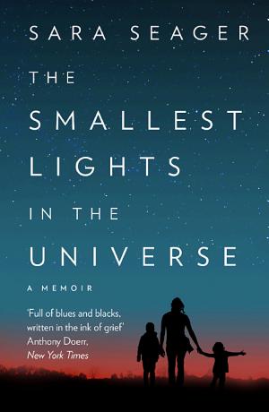 The Smallest Lights in the Universe cover