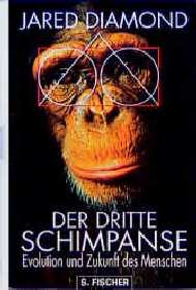 Der dritte Schimpanse cover