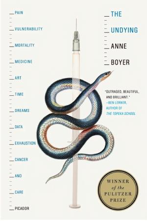 The Undying: Pain, Vulnerability, Mortality, Medicine, Art, Time, Dreams, Data, Exhaustion, Cancer, and Care cover