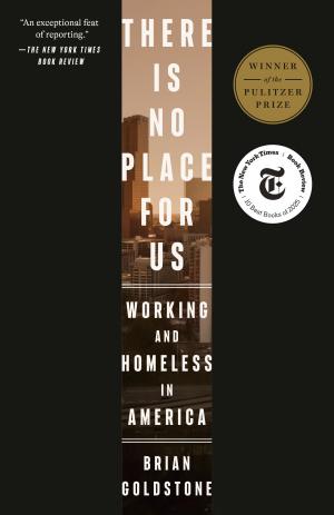 There Is No Place for Us: Working and Homeless in America cover