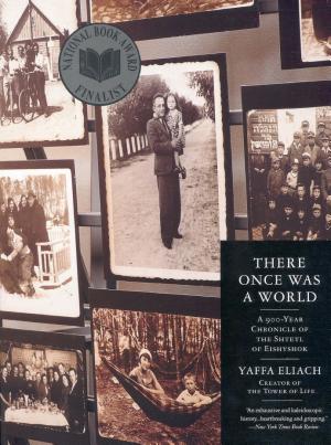 There Once Was a World: A 900-Year Chronicle of the Shtetl of Eishyshok cover