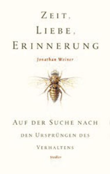 Zeit, Liebe, Erinnerung cover
