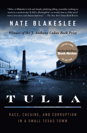 Tulia: Race, Cocaine, and Corruption in a Small Texas Town cover
