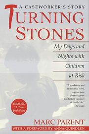 Turning Stones: My Days and Nights with Children at Risk cover